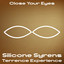 Terrence Experience