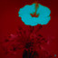 DUSTIN - John Leggs H
