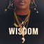 Wisdom cover