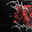 chinglonlon cover