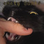 empty hands cover