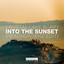 Into the Sunset (feat. KiFi) - Headhunterz Edit
