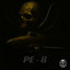 Pe-8 artwork