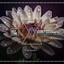 Corazon - Steve Tosi Remix
