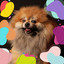 Joyful Background for Resting Pets cover