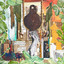 Adumbration One cover