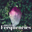 Manifestation Frequencies: Solfeggio x Miracle Chakra Meditation Tones cover