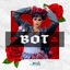 Bot cover