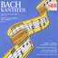 Bach: Cantatas - BWV 10, 243 cover