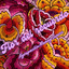 Agrupación Tu dosis - mix floricienta