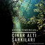 Unknown Title cover
