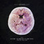 The MInd Palace