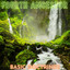 Separate Phases cover