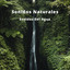 Sonidos Naturales: Sonidos Del Agua cover