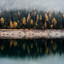 Distorted Landscape