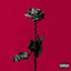 Idfc - Blackbear