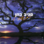 איתך cover