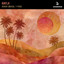 ASHER SWISSA — Hafla cover art