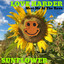 Love Harder - Meet Me at the Rave