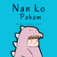 Nan Ko Paham