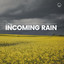 Incoming Rain cover