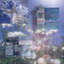 vusglacks profile