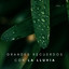 Grandes Recuerdos Con La Lluvia Vol. 1 cover