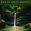 Por El Viejo Arroyo: Sonidos De Agua Para La Relajación cover