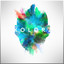 K O L O R Z cover