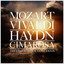 Concerto in C Minor for Oboe and Strings: I. Introduzione: Larghetto cover