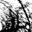 Hinterlands