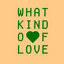 What Kind Of Love - Extended Mix