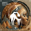 Don\'t Fly Away artwork