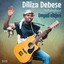 Diliza Debese - Umgodi eBojeni