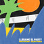 Llegamo El Party - Extended Mix