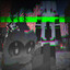 elytra cover