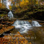 Nature Relaxation: Peaceful Talks of River Birds Vol. 2 cover