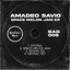 Amadeo Savio — System cover art