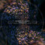 Interpolation - Erdi Irmak Remix