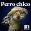 31 Minutos/Johnny Choapino - Perro Chico