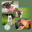 Bgm for Calming Puppy cover