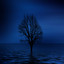 My Resonance