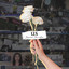 PUB JESSICA RHAYE US - -