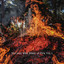 Hot and Wild Blaze of Fire Vol. 1 cover