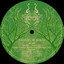 Vitaline — Move Inside cover art