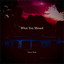 What You Missed cover