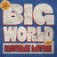 Now Playing: Natalie Layne - Big World