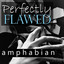 Perfectly Flawed cover