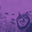 Hot Acoustic and Electric Bossa Nova Piano Duo - Bgm for Bright-Eyed Doggy cover