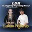 Langgeng Dayaning Rasa "LDR"